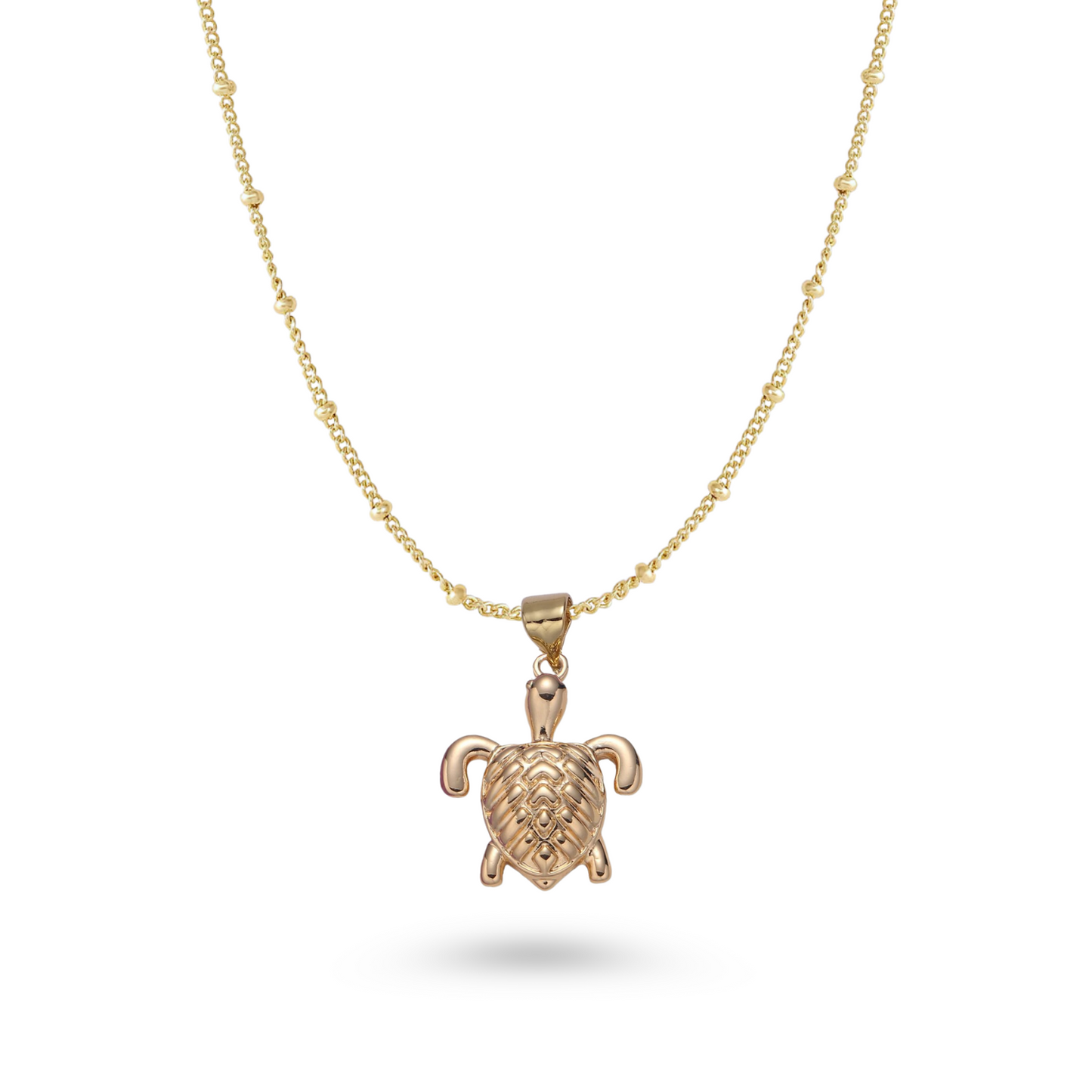 TORTUGA