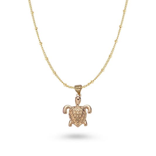 TORTUGA